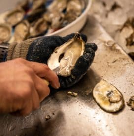 Shucking Fresh Apalachicola Oysters at Lynn's